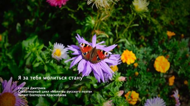 Я за тебя молиться стану смотреть онлайн