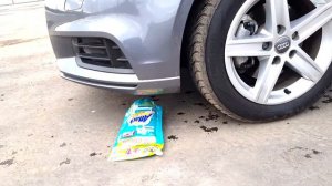 ДАВИМ МАШИНОЙ ХРУСТЯЩИЕ И ЗАЛИПАТЕЛЬНЫЕ ПРЕДМЕТЫ / 24 ЧАСА ЧЕЛЛЕНДЖ