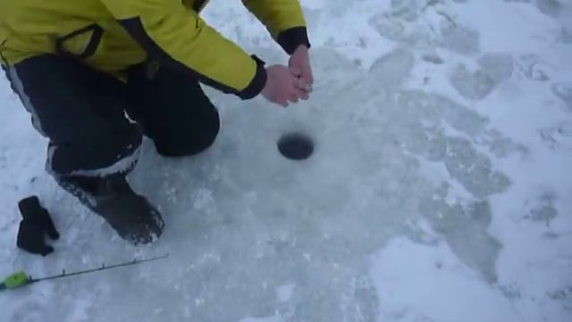 рыбалка в Тарасовке смотреть онлайн