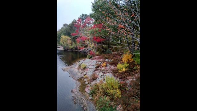 September 19 2021 смотреть онлайн