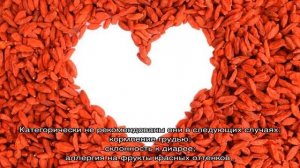 Ягоды годжи: польза и вред, как принимать