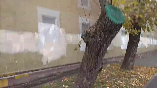 Мастерство и Креативность