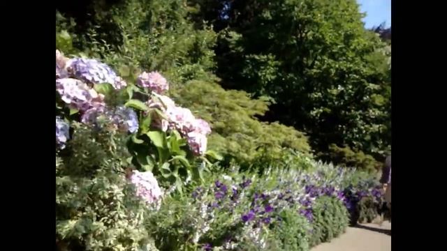The Butchart Gardens in Vancouver Island смотреть онлайн