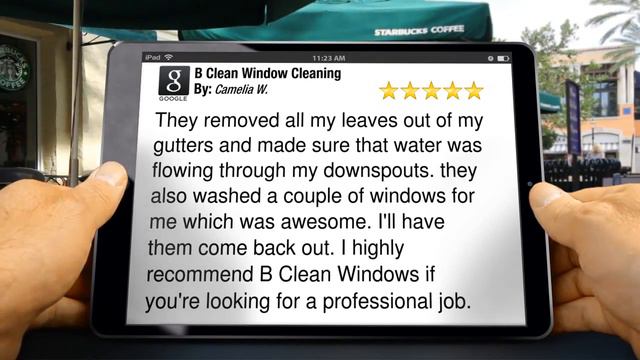B Clean Window Cleaning Frisco Teriffic Five Star Review by Camelia W. смотреть онлайн