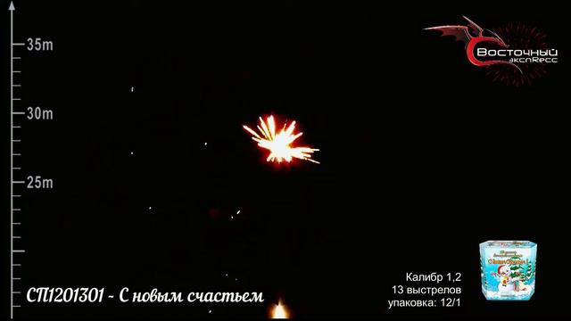 СП1201301 С новым счастьем смотреть онлайн