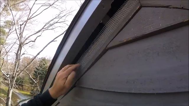 Flying Squirrel Repairs смотреть онлайн