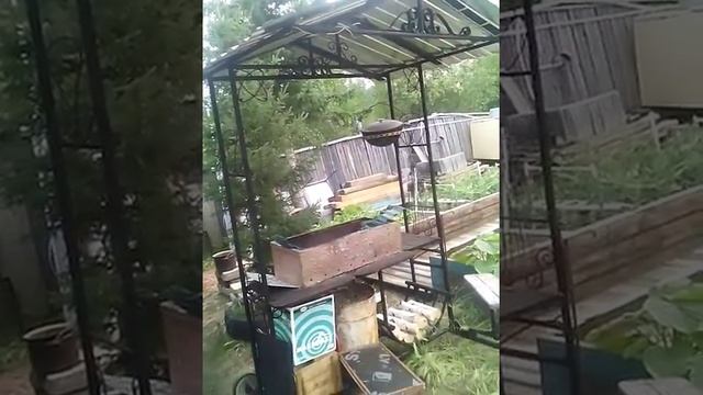 Вода для бани на зиму на даче. Мангал с крышей. смотреть онлайн