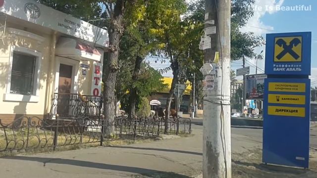 Лошади в городе | Прогулка лошадей по улицам города Николаева смотреть онлайн