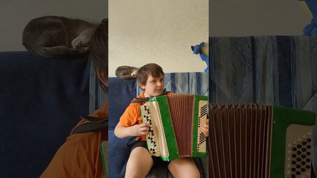 парень круто играет на баяне смотреть онлайн