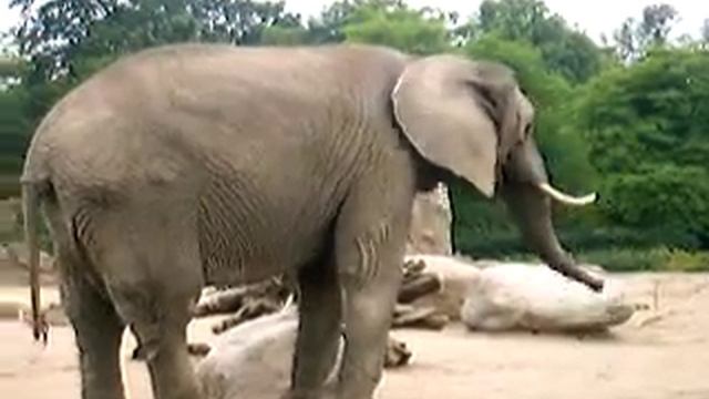 Tierpark Friedrichsfelde 2