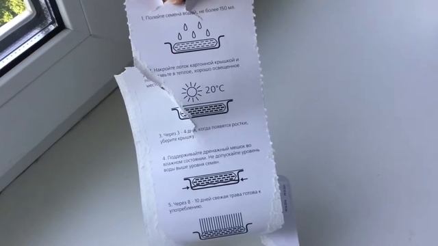 Как вырастить траву для кошек пшеницу смотреть онлайн