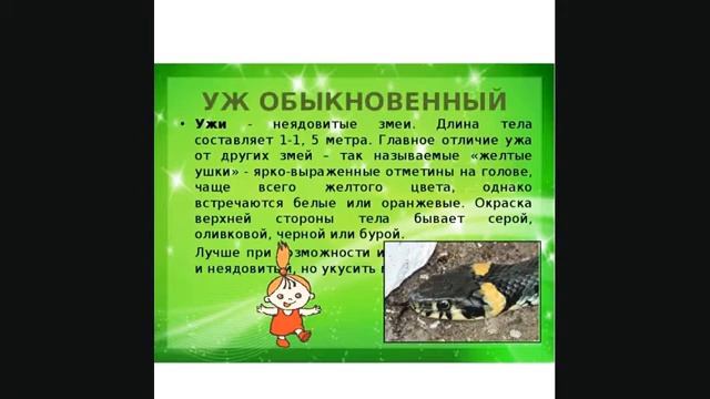 Как отличить ядовитых змей от неядовитых змей смотреть онлайн