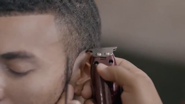 Cordless Trimmer Detailer Li 8171-016 WAHL