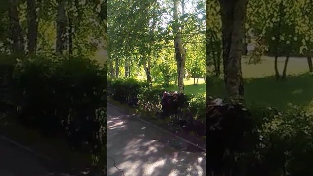 Клуб Пересвет ,Тюмень. смотреть онлайн