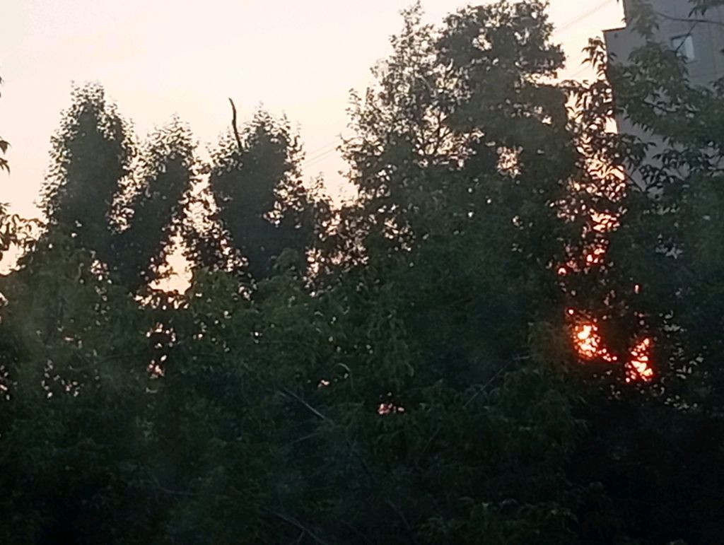 🧋//Кофе//🧋