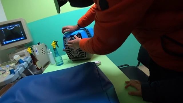 Кошка беременная? Будут ли котята? Едем в больницу! смотреть онлайн