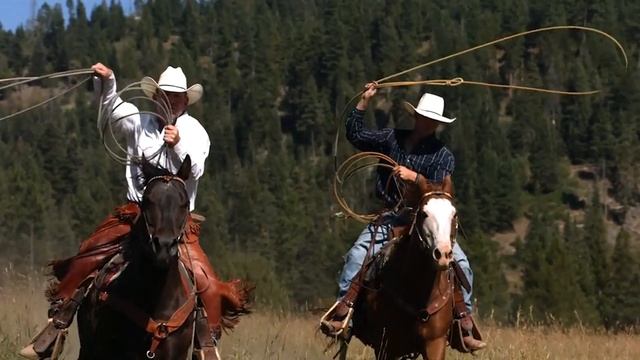 Спортивный вестерн. Вестерн повод. Как правильно его держать и управлять им лошадью.