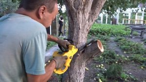 Электрическая цепная пила Kolner KECS 35/1600