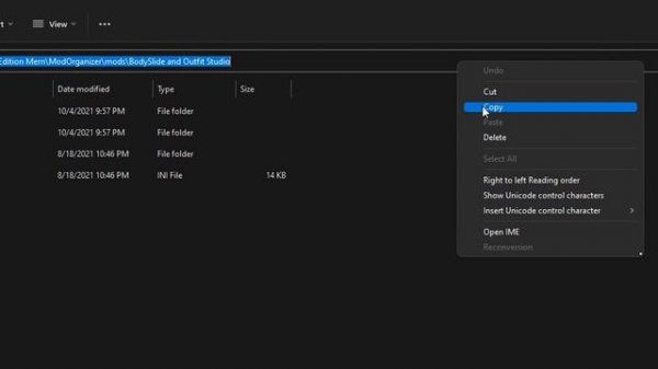How to Create Beautiful Skyrim Characters