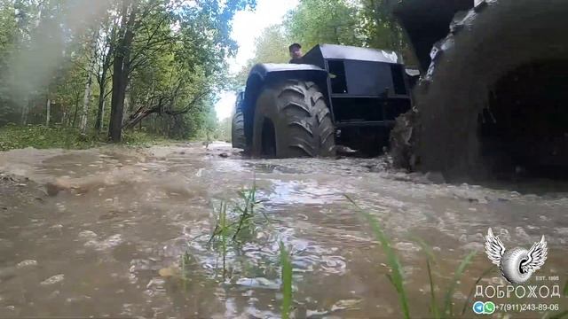 Каракат смотреть онлайн