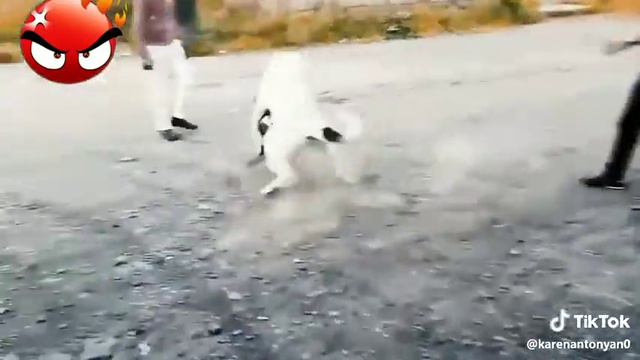 VOR ZAKON 10 смотреть онлайн