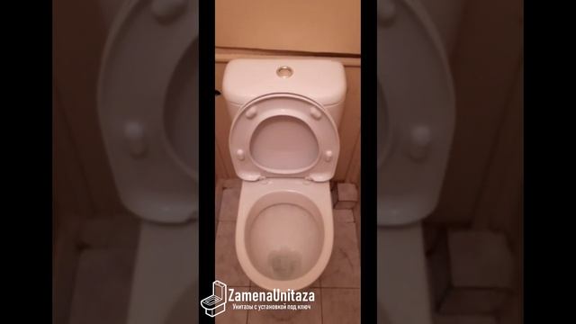 Унитаз с Установкой Под Ключ Sanita Стандарт от ЗаменаУнитаза.Ру смотреть онлайн