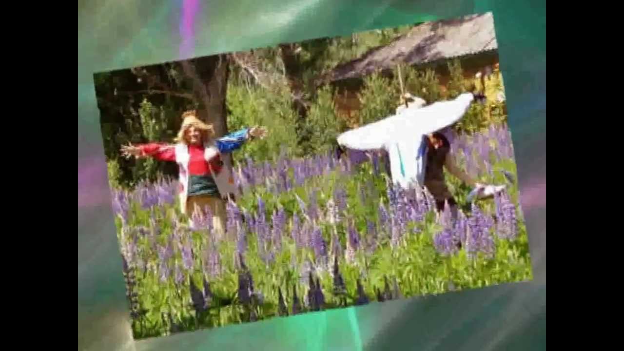 ВОЛШЕБНИК ИЗ ГОРОДА смотреть онлайн