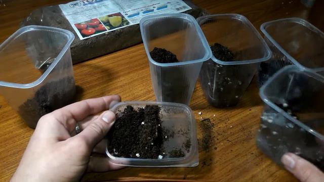 Сравнение грунтов (классман, Greenworld, тофолин А, универсальный)