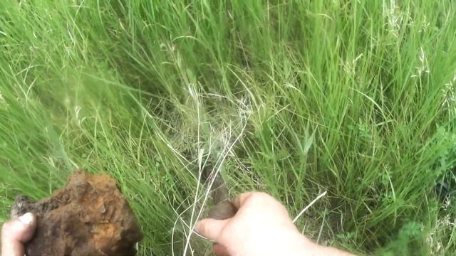 Копаем возле железной дороги, продолжение. Коп металлоискателями Фортуна и МD 4030р смотреть онлайн