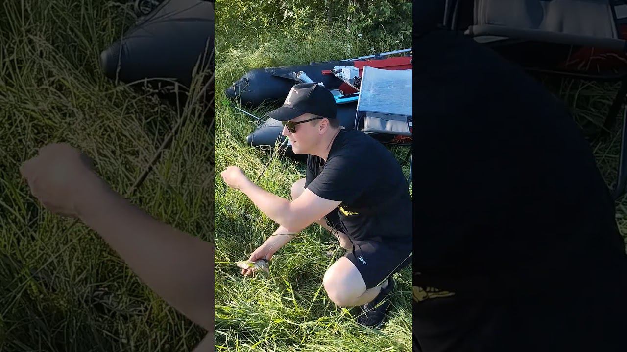 Рыбалка 2024.Поймали первого подлещика в летнем сезоне. #shortvideo #fishing #рыбалка #fishingvideo смотреть онлайн