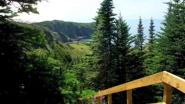 Newfoundland, Aug 2010