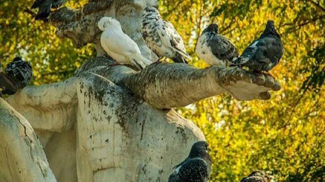 МАРИУПОЛЬ от первого лица! Приморский сквер сегодня! смотреть онлайн