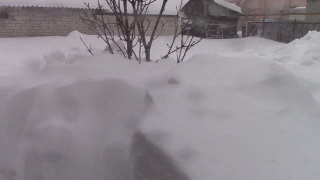 Самара Природа шутит на 1 апреля смотреть онлайн