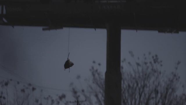 Don't Feed the Pigs - Defund Them смотреть онлайн