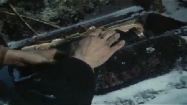 День Кино "Видеоэкскурс " смотреть онлайн