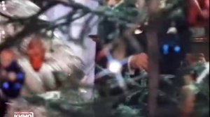 Снегурочку вызывали. Х/ф.