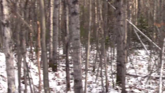 Октябрь 2021 года проводили. смотреть онлайн