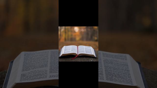 Євангеліє на щодень 31 січня 2023   Мр. 12, 18 - 27