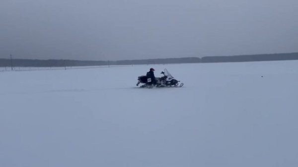 Стелс Ставр/STELS STAVR