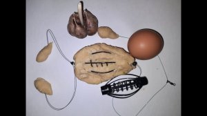 САМАЯ УЛОВИСТАЯ НАСАДКА НА КАРПА, КАРАСЯ, САЗАНА! Самая простая , самая рабочая чесночная насадка.