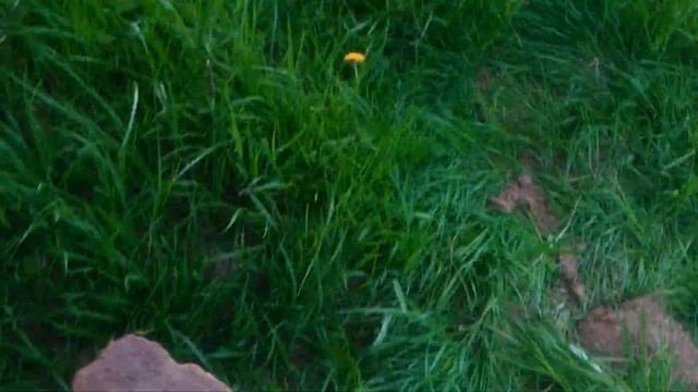 металлокоп 2019 смотреть онлайн