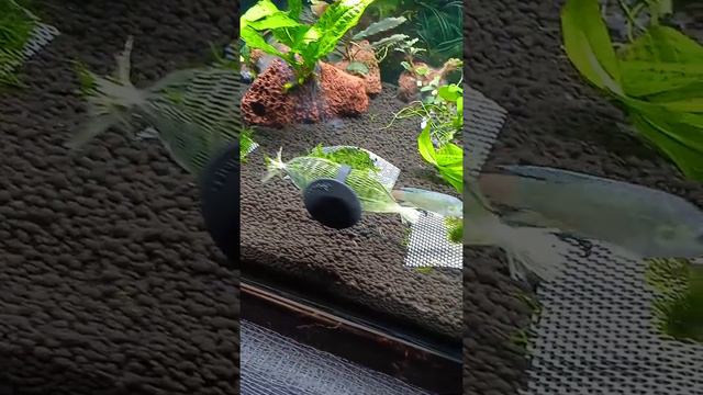 УТИЛИЗАТОР... смотреть онлайн