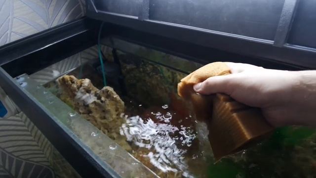 Как мыть фильтр в аквариуме. смотреть онлайн