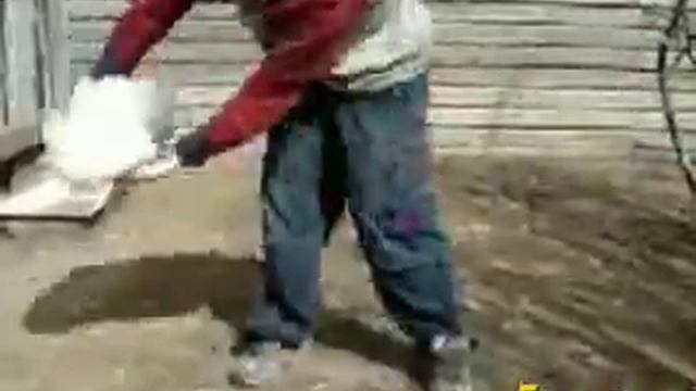 древние приколы/животные 5 смотреть онлайн