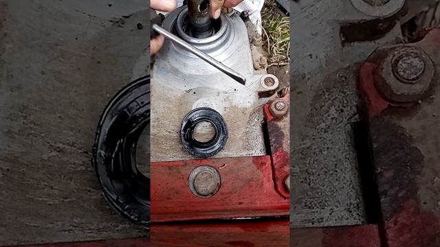 Замена сальников оси редуктора на мотоблоке салют