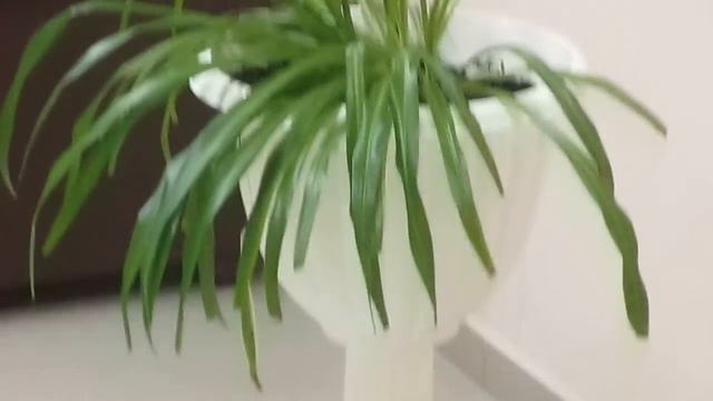 Флора в тундре 3 смотреть онлайн