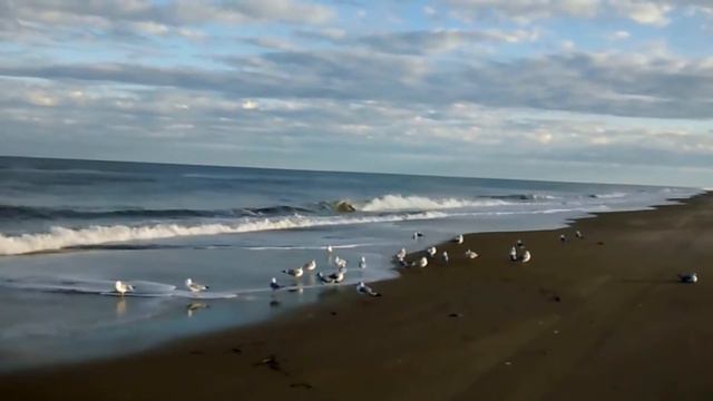 Атлантический океан / Virginia Beach, December 29, 2016 смотреть онлайн
