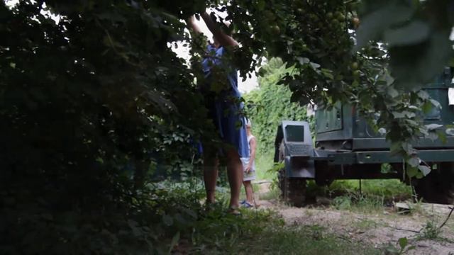 Бригантина 2017 смотреть онлайн