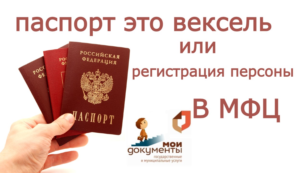 ПАСПОРТ ЭТО ВЕКСЕЛЬ или РЕГИСТРАЦИЯ ПЕРСОНЫ В МФЦ смотреть онлайн