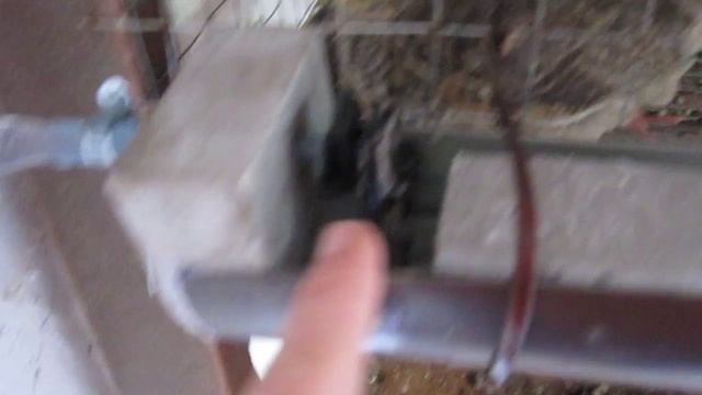 Поилка для перепелок своими руками смотреть онлайн